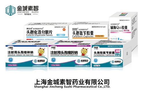 副省長(zhǎng)王桂英赴金城醫(yī)藥調(diào)研 聚焦合成生物學(xué)與食品藥品安全，助力新興產(chǎn)業(yè)筑基
